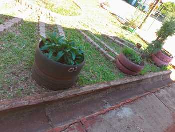 Medium_96cfbe8a-79d9-4bc5-9b9c-8d8a78b79919