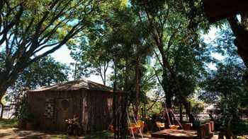 Medium_81ab17a1-ff1a-4f62-8d29-adf6f540c880