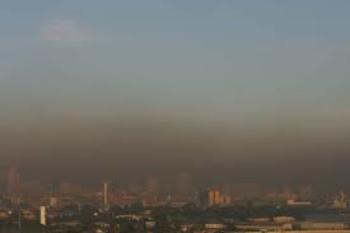 Medium_images6c1s298a