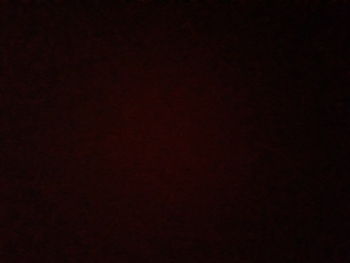 Medium_16488428574506682673874579499534