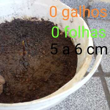 Medium_img-20220409-wa0000