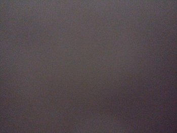 Medium_16514245236476332133365096684416