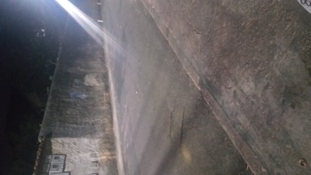 Medium_20220627_181826