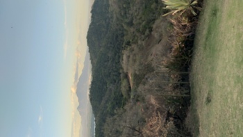 Medium_20220728_163602