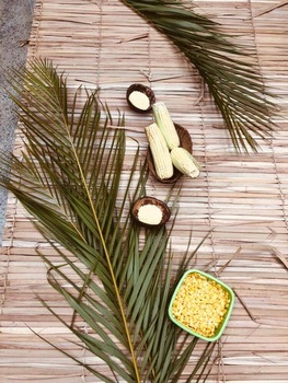 Medium_milho_mini_grupo_ii