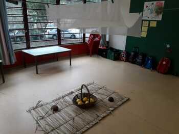 Medium_maracuj__mini_grupo_ii