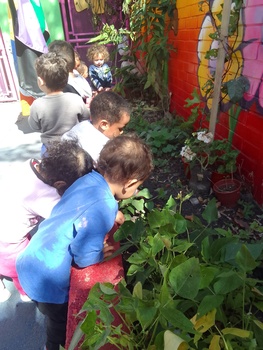 Medium_img_20220901_140243