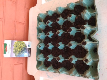 Medium_img_20220901_091107474_1_