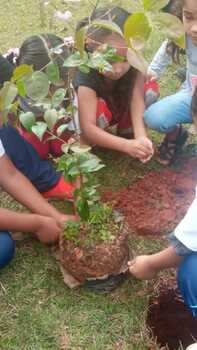 Medium_img-20220920-wa0049