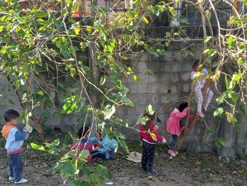 Medium_20220629_092026