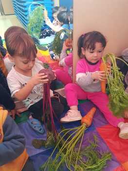 Medium_5e30e770-b02c-4ca8-99ef-56b87a926949