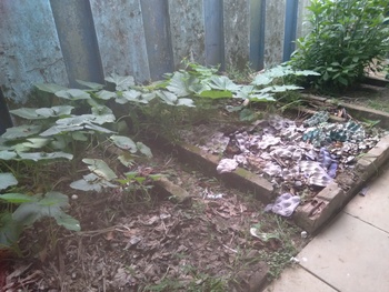 Medium_20221014_154328