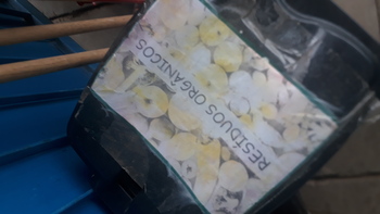 Medium_20221014_153857