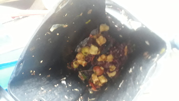 Medium_20221014_153854