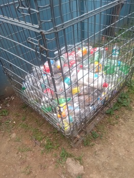 Medium_img_20221014_154052678