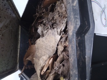 Medium_20221019_155042