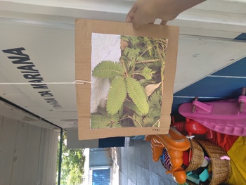 Medium_20221026_130739