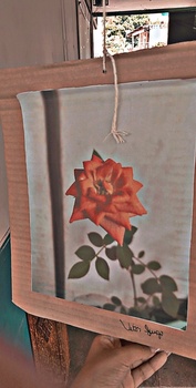 Medium_snapchat-1914549111