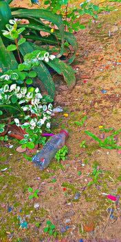 Medium_snapchat-774173667