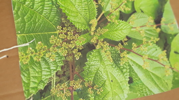 Medium_20221026_130813