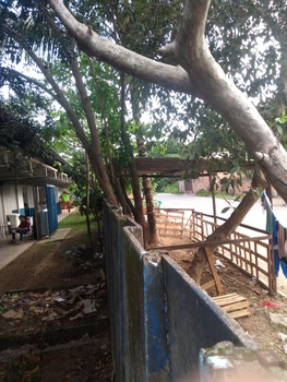 Medium_img_20221026_154420365