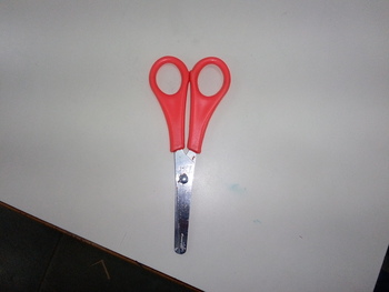 Medium_20221104_150745