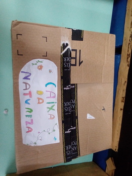 Medium_20221104_150657