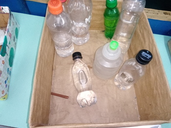 Medium_20221104_150703