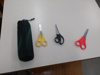 Medium_img_20221104_150803842