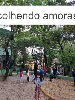 Medium_whatsapp_image_2022-11-25_at_11.09.50