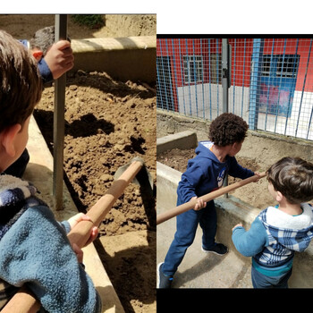 Medium_inshot_20221130_195226367