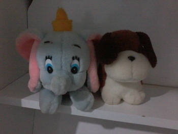 Medium_20140516_143913