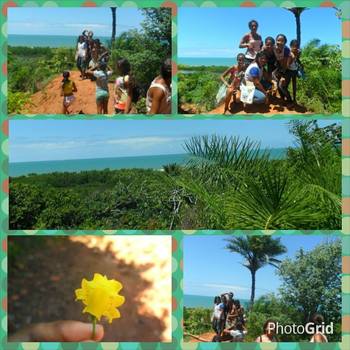 Medium_6807_727202250678972_7014891358238227813_n