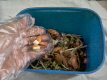 Medium__r_foto_a1031