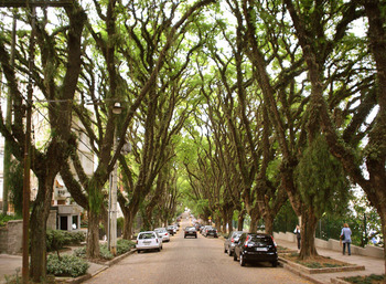 Medium_rua-mais-bonita-do-mundo