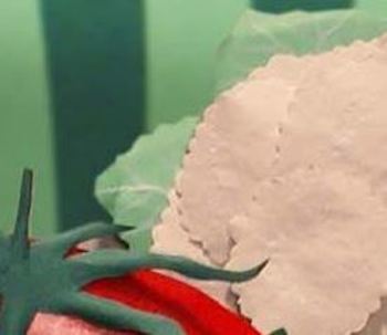 Medium_fireshot_screen_capture__253_-__edukatu__-_edukatu_org_br_circuitos_2_percursos_4_rota_8_fases_15_atividades_196