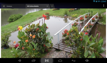 Medium_screenshot_2015-03-12-22-47-55