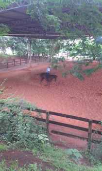 Medium_img_20141223_104902