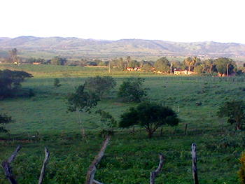 Medium_8434032832780418770407443747_019