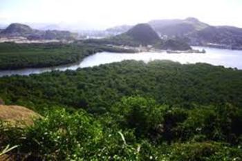 Medium_natureza_de_vila_velha