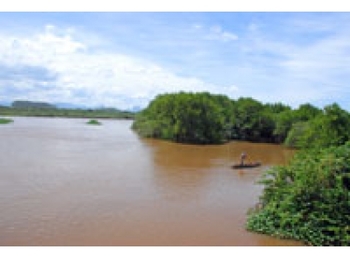 Medium_372-patrimonio-padrao-1415206082-588-497e02e66e969