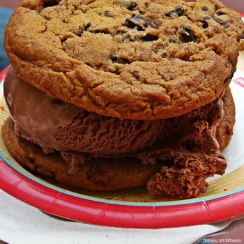 Medium_1043copy-1024x1024