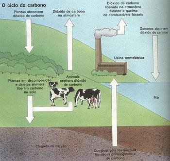Medium_efeito_estufa