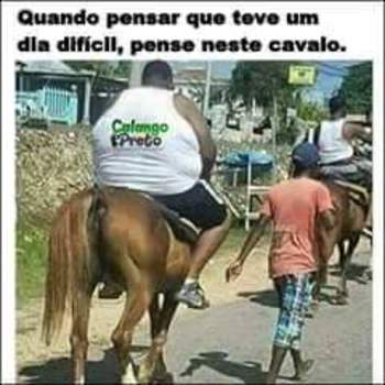 Medium_img-20150917-wa0008