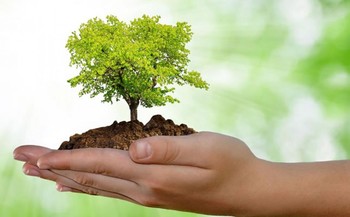 Medium_meio-ambiente-shutterstock_93568675-meio-ambiente-esse-66tdww3ecp29yq5xwodql9yovbvln5evjzjg1c8315a