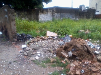 Medium_2012-03-06_10.49.43