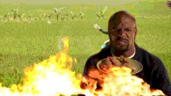 Medium_maxresdefault__1_