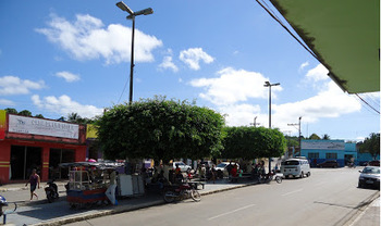 Medium_ar_de_taquarana