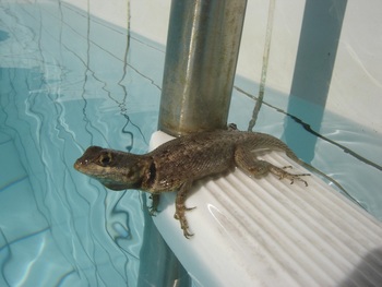 Medium_482477-147409-1280