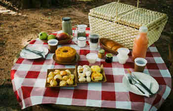 Medium_hi-mundim-piquenique-capa1